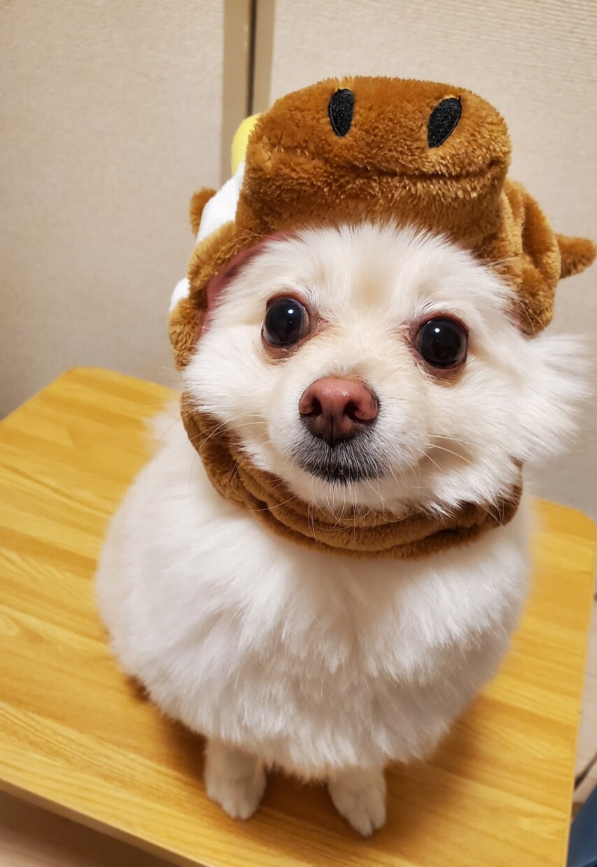 電話でお話しませんか❁*.ﾟなんでも聞きます ちょっとでも元気になれるように、癒しになります︎و* イメージ10