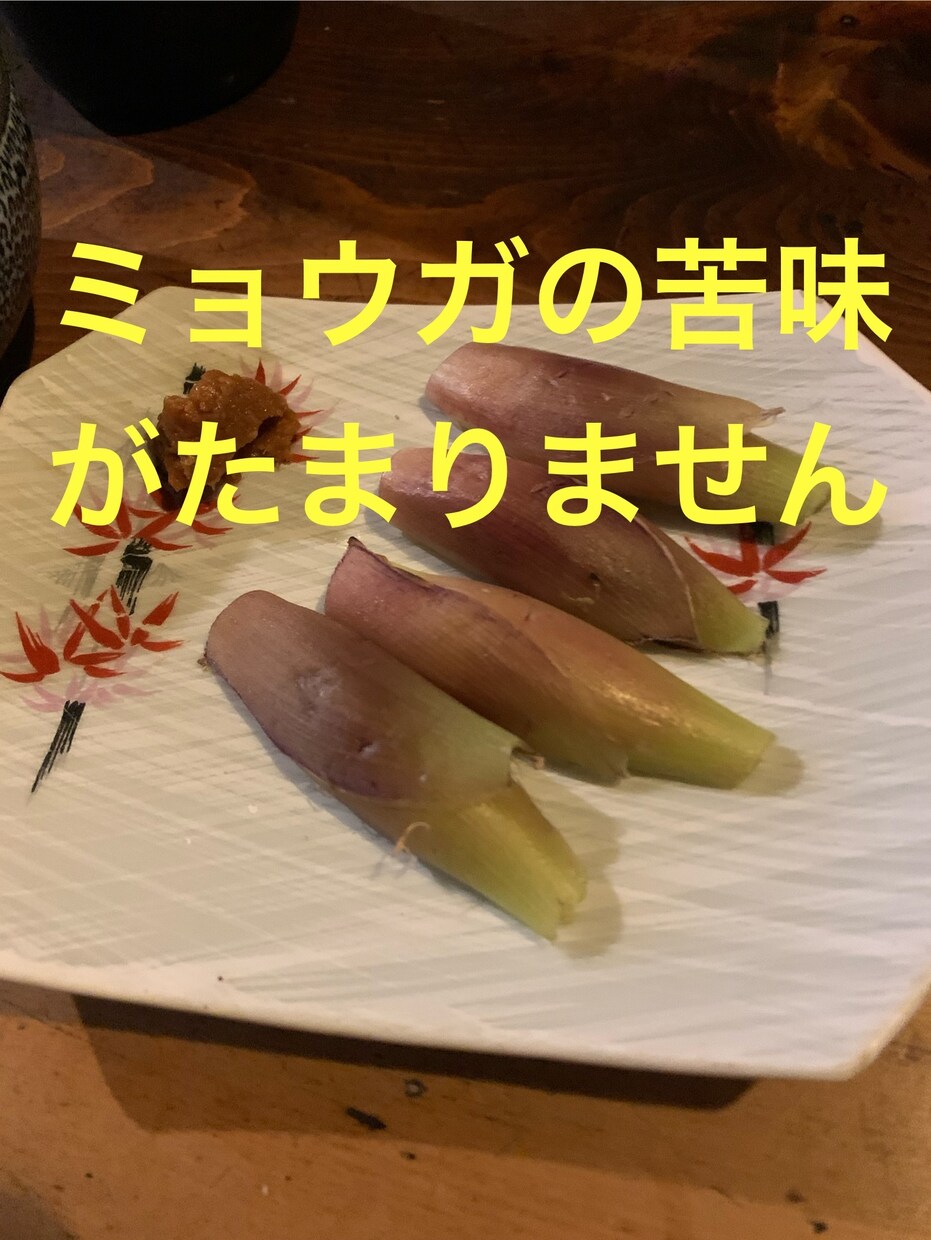 5分でもOK! 優しいマスターがお話しお聞きします 飲んでお話ししましょう！飲まない方も大歓迎！ イメージ6