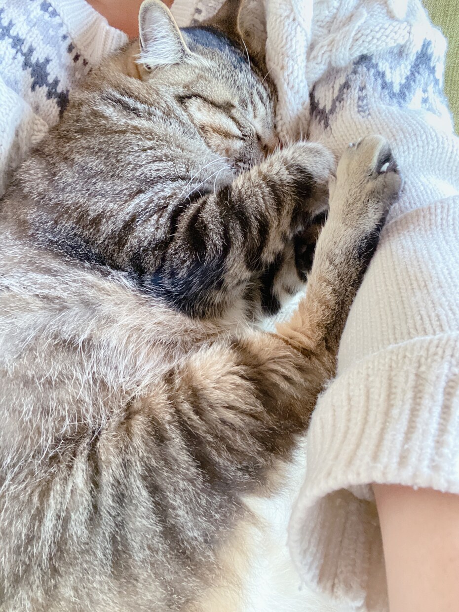 寝る前にちょこっとだけ♪おしゃべりします 寝る前に♪晩酌相手をちょこっと♪疲れた人もそうでない人も♪ イメージ1