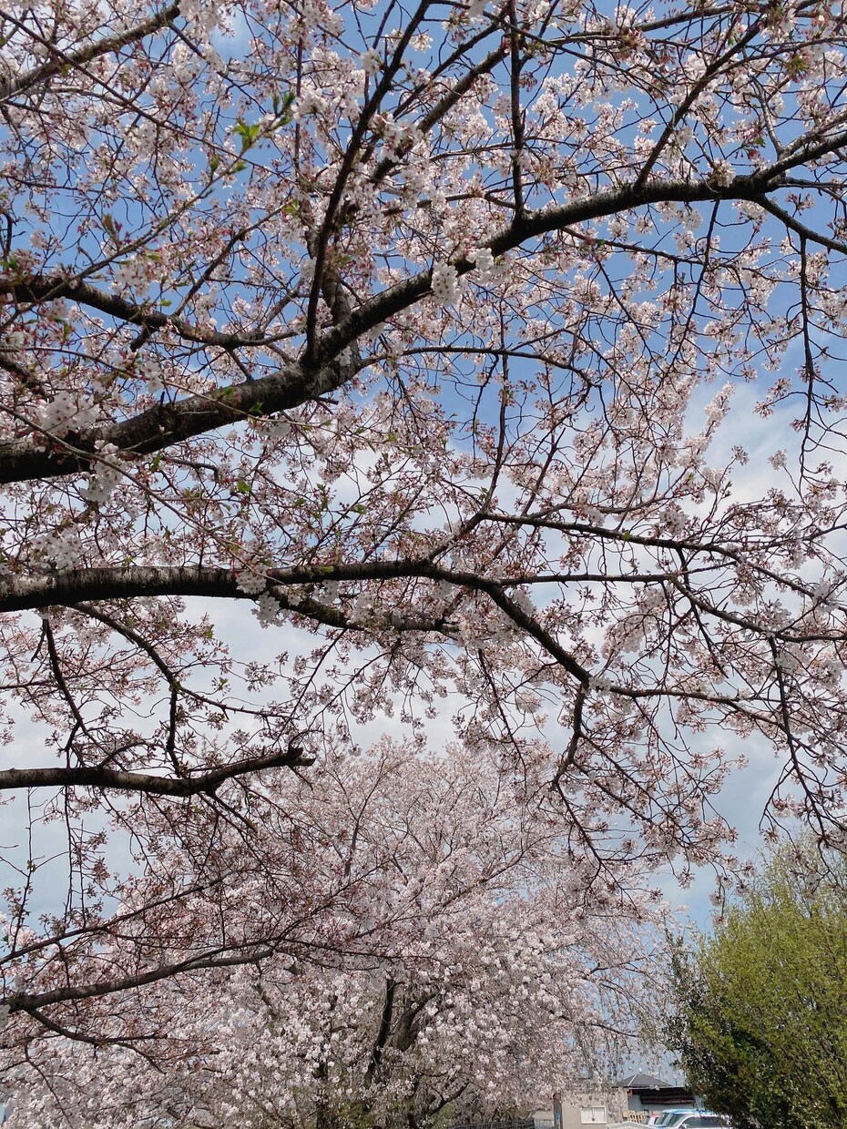 どんなことでもお話しお伺いします 一緒に解決できるように頑張って行けたらいいな イメージ1