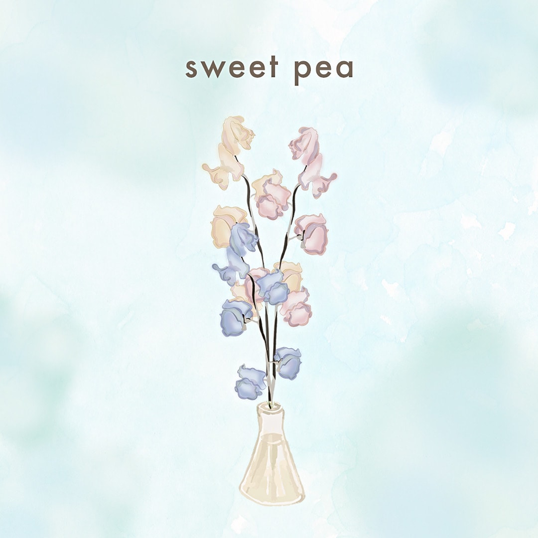 大人かわいい植物のカットイラスト描きます 商品パッケージ、名刺などトータルデザインも◎！ イメージ8