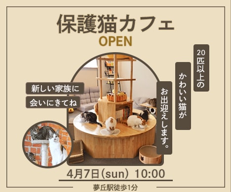 可愛い!おしゃれ!バナー作ります 女性向けバナーお任せください! イメージ7