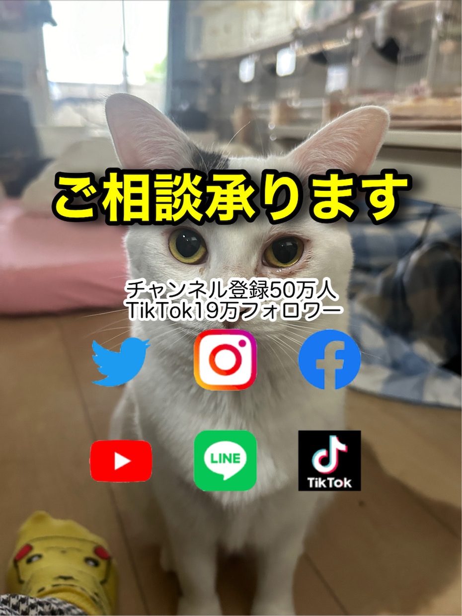 SNS運用とAI活用の方向性を電話で整理します インスタ・YouTube・TikTok・AI活用悩み相談 イメージ2
