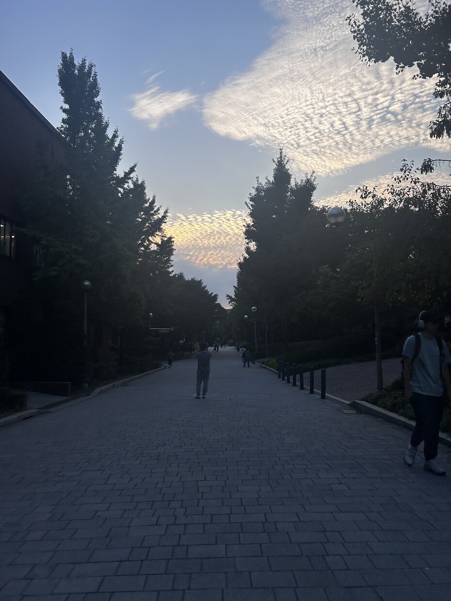 韓国留学を考えてる方の相談なんでものります 現役韓国大学生がリアルな韓国留学をお伝えします！90分 イメージ3