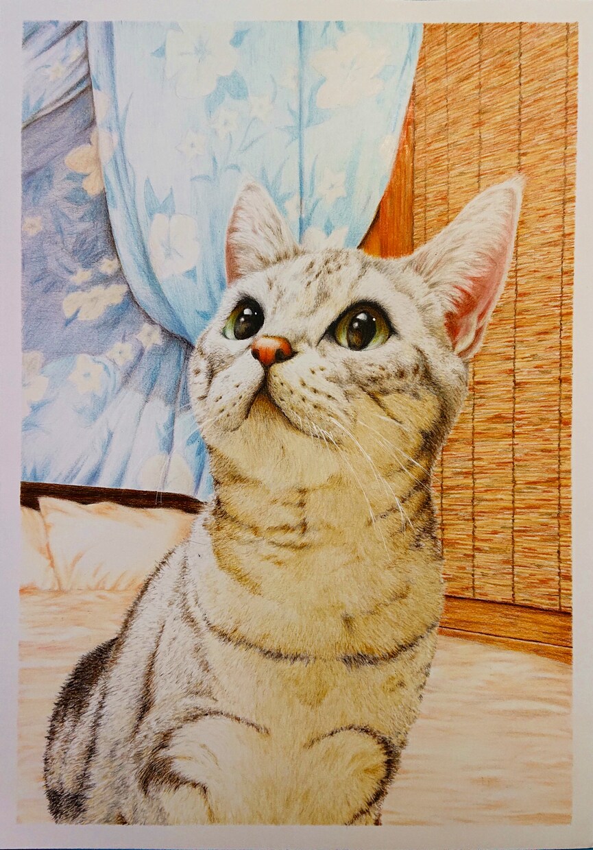 色鉛筆でリアルなペットの絵をお描きいたします リアルで力強く、かつ優しいペットの絵の原画をお送り致します。 イメージ4