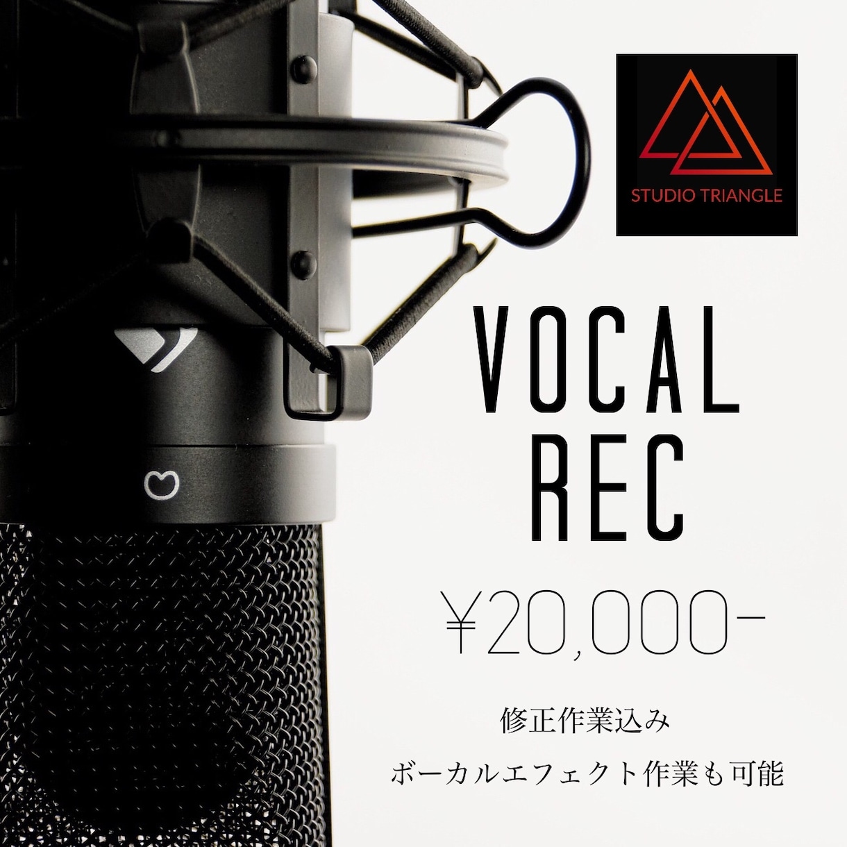 vocalのRECキレイに仕上げます プロ御用達のコンデンサーマイクでクリアに！ イメージ1