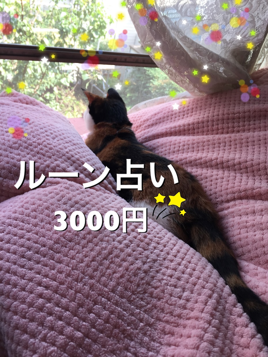 ルーン占いします あなたの魂が望む本当の幸せに繋がるお手伝いをしています。 イメージ1