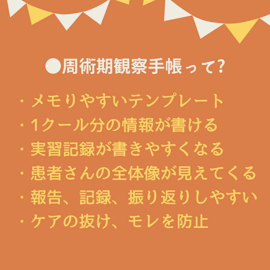 看護実習記録集★アセスメントのテンプレ教えます 超絶安心！看護実習【まるごと】パック★実習記録事例、報告、等 イメージ4