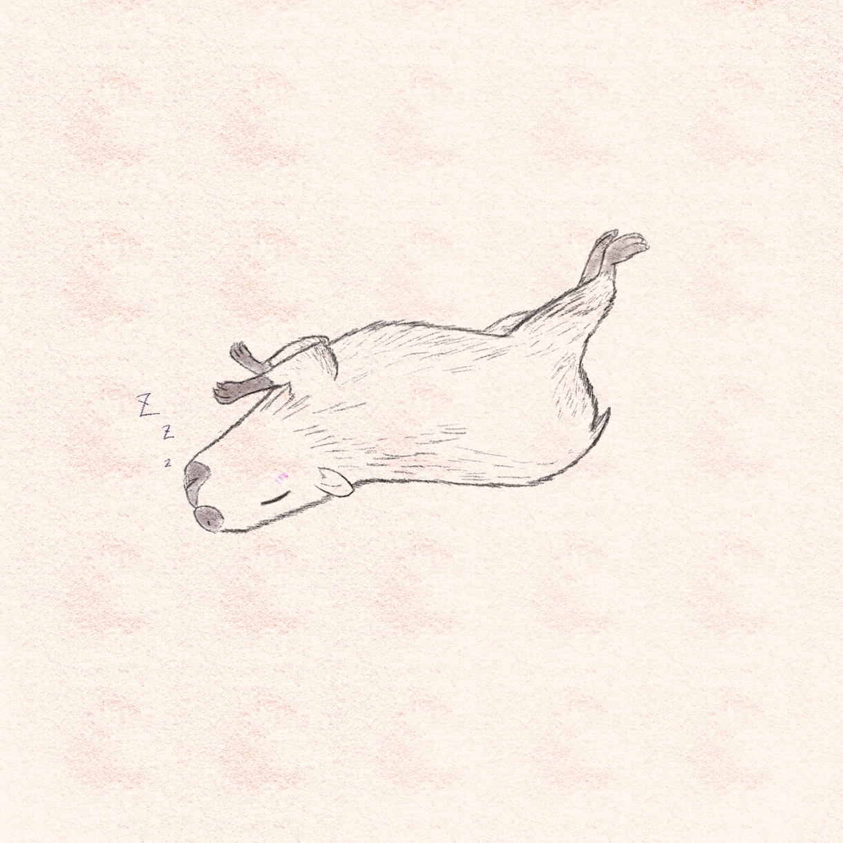 アナログチックな絵柄で動物を描きます アイコン・壁紙・ヘッダー画像など作成可能です イメージ6