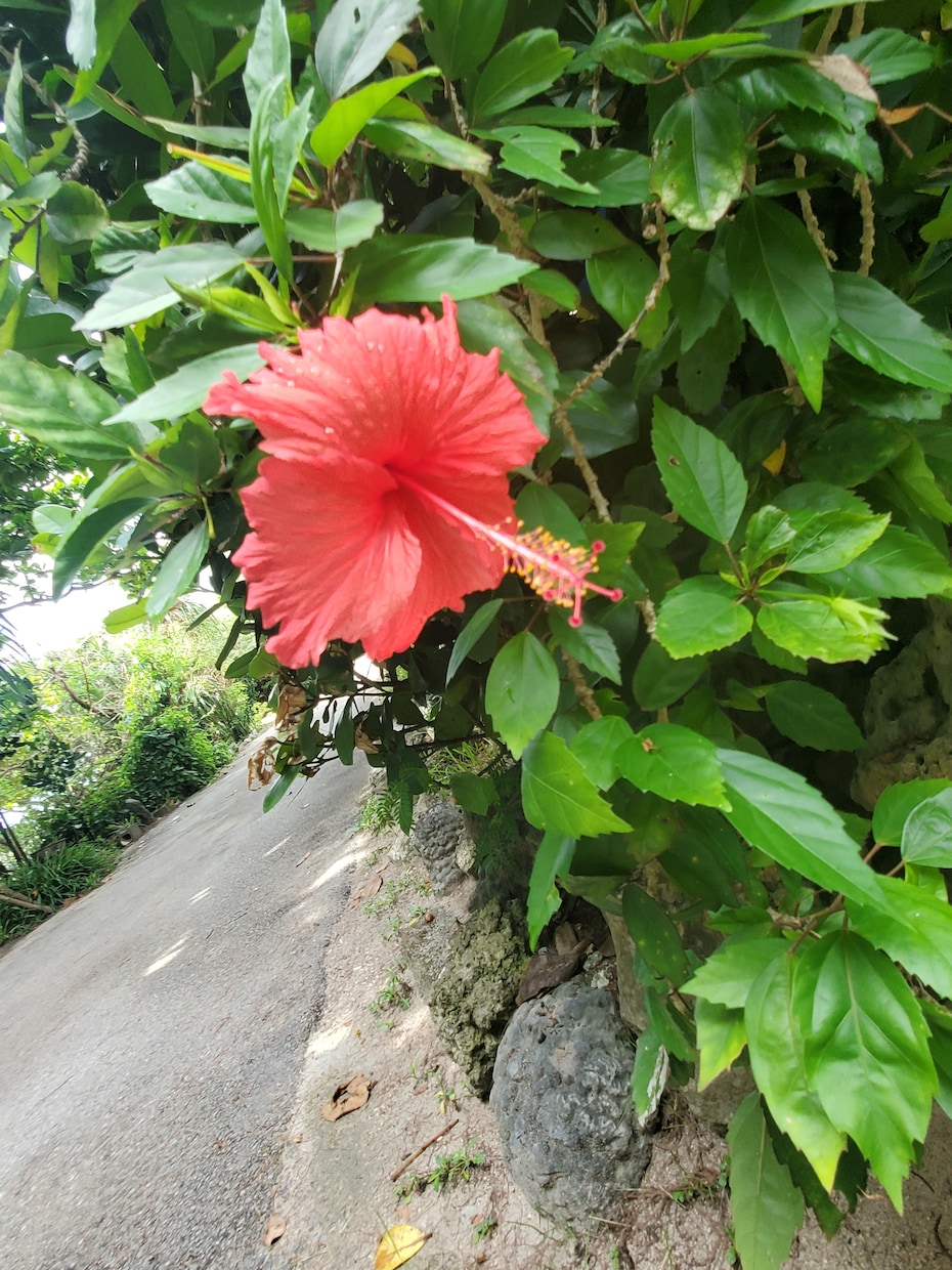 短時間でも☘️…愚痴、悩み聞きます 一人でため込まずに吐き出してみませんか？子育て、恋愛、結婚 イメージ3