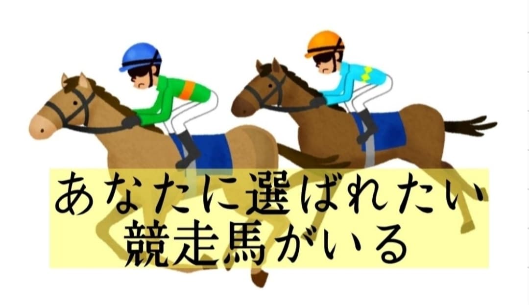 3着内に来るであろう競走馬を共有します 複勝・ワイド・3連複の軸に最適♪ イメージ1