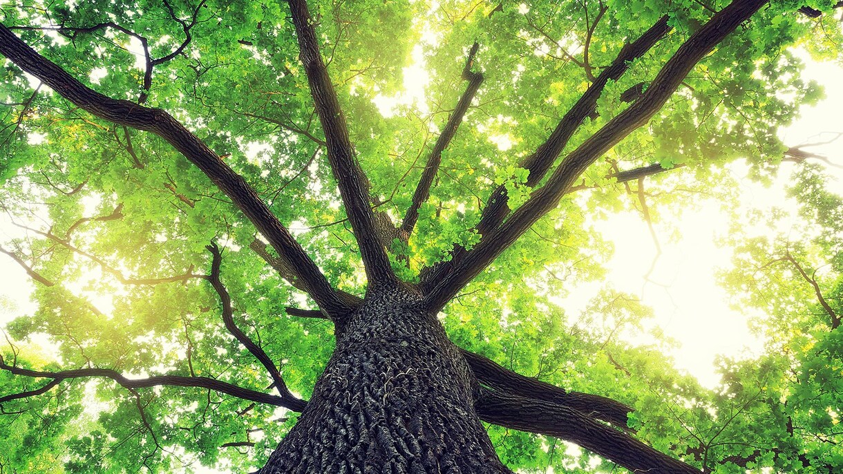 物忘れを超簡単に解決するアイデアをお教えします 誰にでもすぐ出来て他の事に集中できるので大変便利です！ イメージ1
