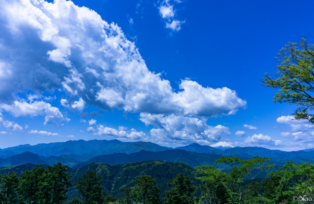 東京の山（高尾・奥多摩）の風景写真を撮影代行します 美しい風景や花の写真を提供！商用利用可・RAW現像サービス付 イメージ9