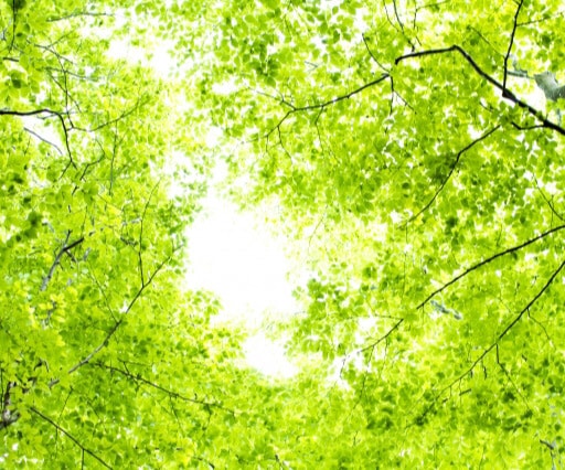 ひとりで悩んでませんか？どんなお話でも受け止めます 抑圧している気持ちや、モヤモヤしている感情を吐き出しましょう イメージ3