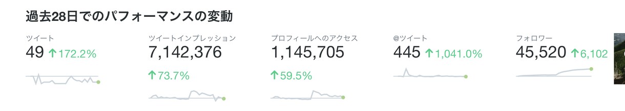 ツイッター コンサルティングをします コンテンツ、ターゲティング、リーチまで分析します。 イメージ1