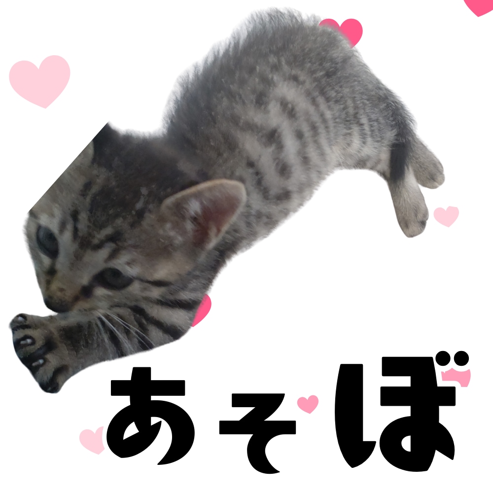 ペット写真からLINEスタンプ16個セット作ります ☆大切なペットをオリジナルLINEスタンプに イメージ7