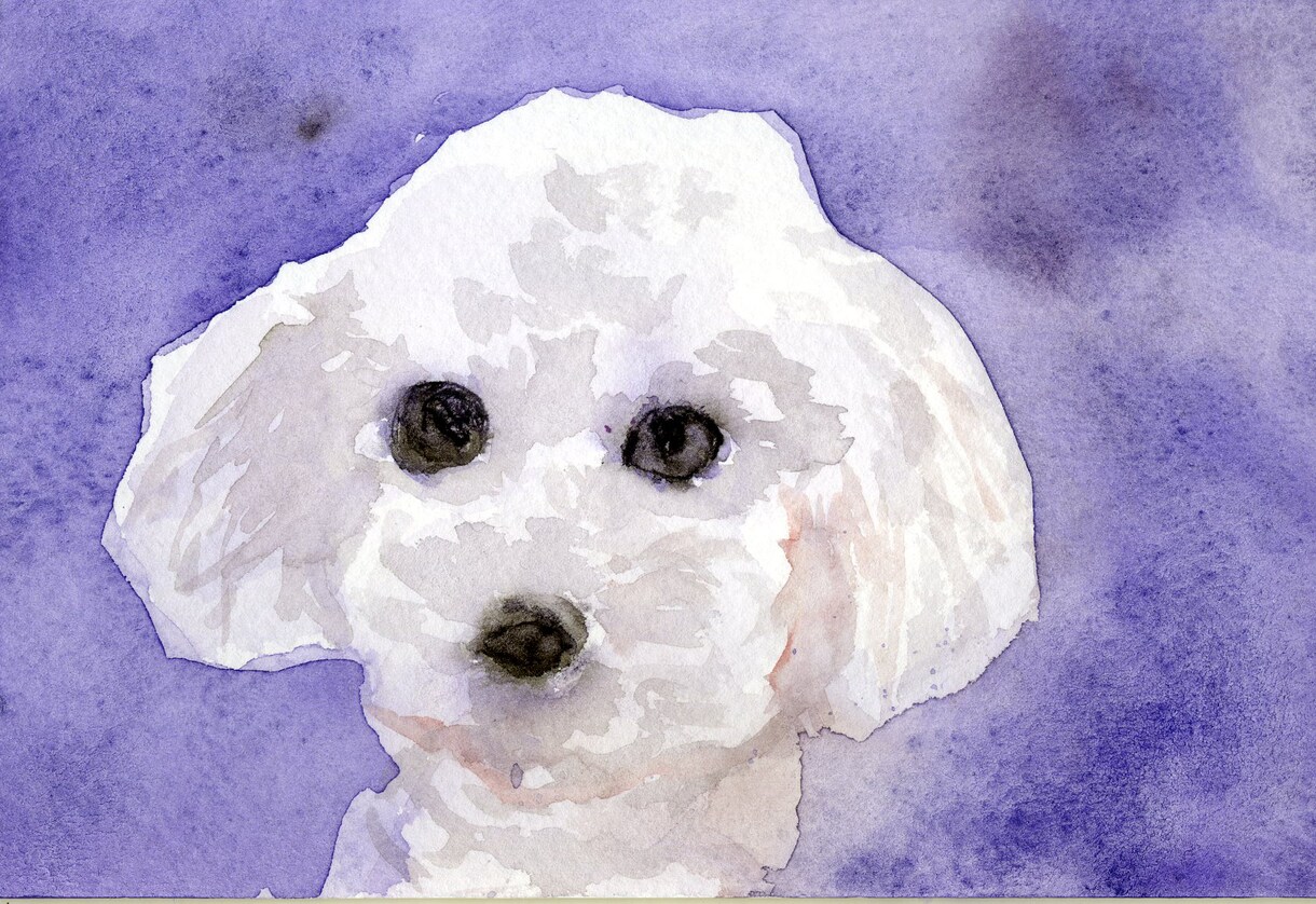 可愛いウチの子を描きます 5000円で額縁に入れて飾ることができます。 イメージ5
