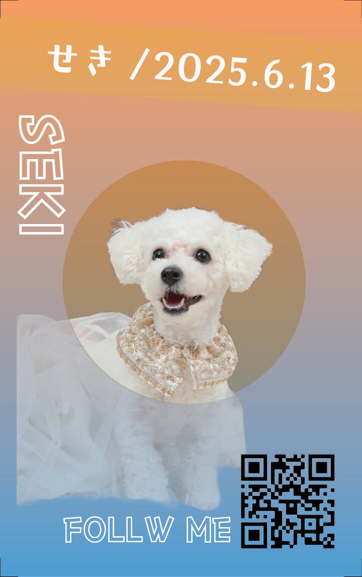 我が子(ペット)の名刺を作ります 我が子名刺(犬猫鳥ハム等)をお作りします！ イメージ2