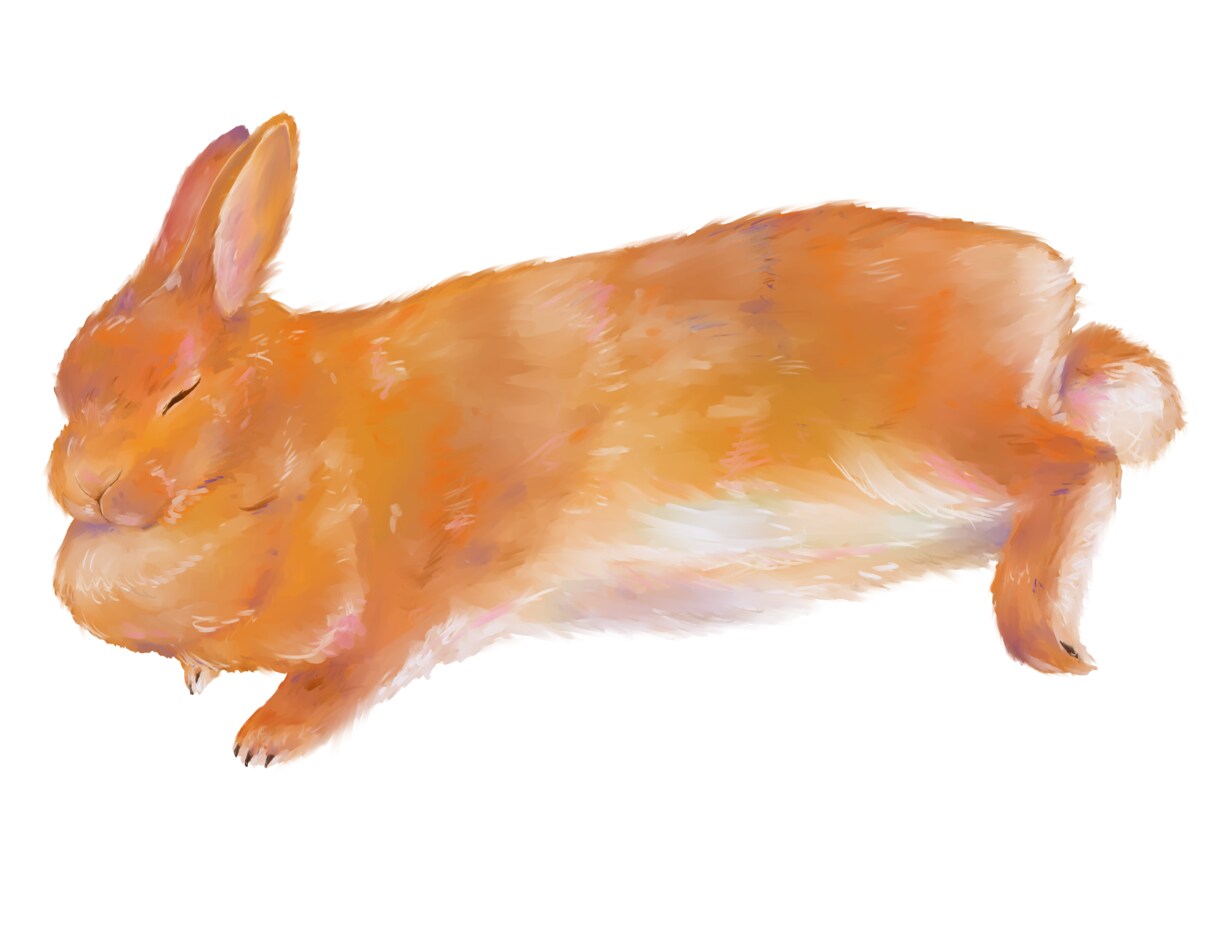 動物の絵を描きます 動物の絵を温かいタッチで描きます! イメージ1