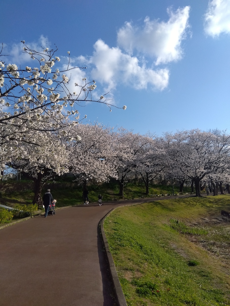 占います 悩み事占います。お困り事あれば占います。 イメージ1