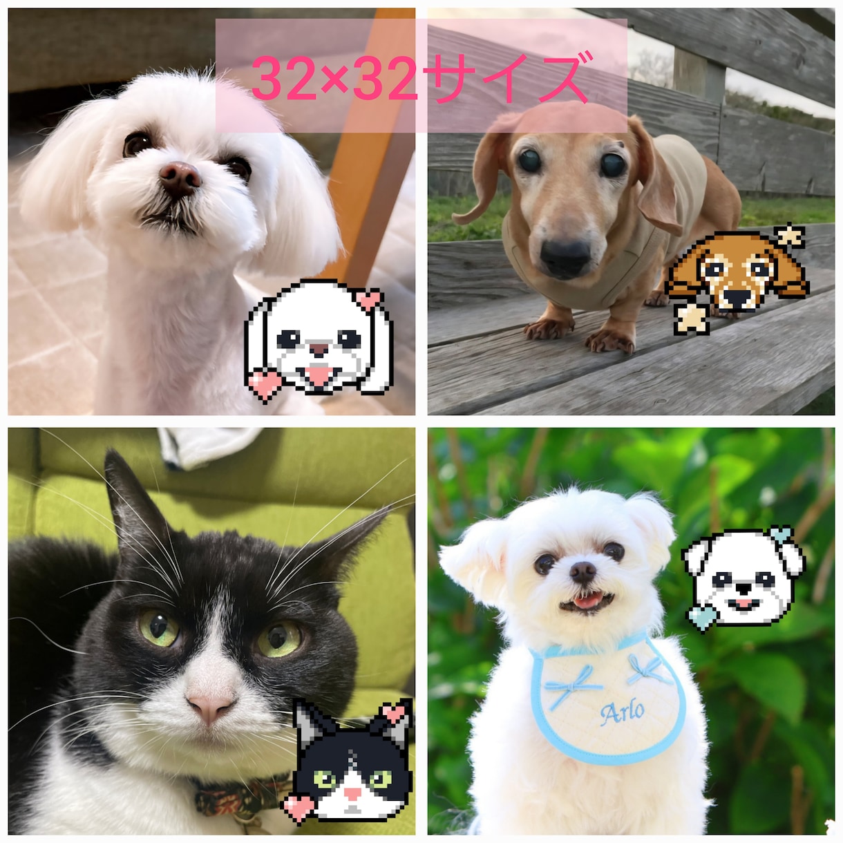 ペットの写真を可愛いドット絵にします うちの子がゲーム風に?!アイコンやスタンプにも使える! イメージ2