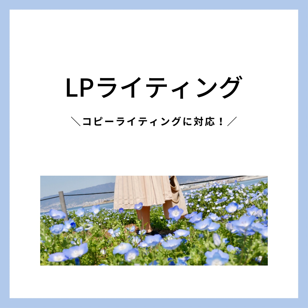 ランディングページを執筆します コピーライティングはお任せください！ イメージ1