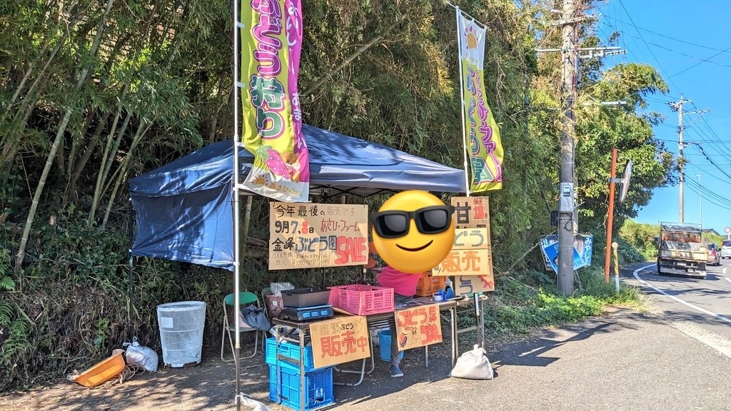 手書き段ボール看板、POP制作いたします 短期間のイベントや掲示物におすすめののPOPを制作致します。 イメージ3
