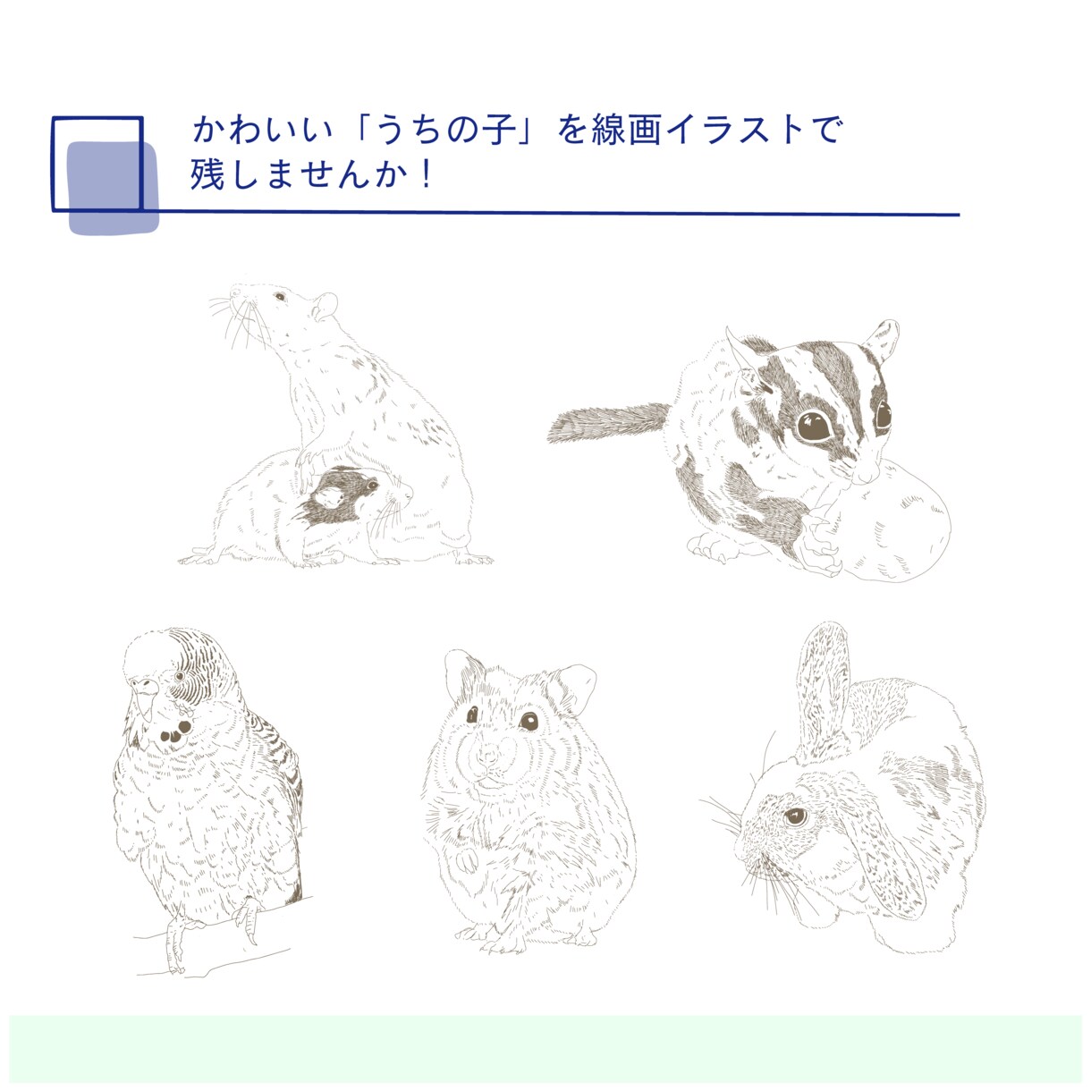 ペットのお写真を愛らしい線画イラストに仕上げます ”小動物好きが丁寧に繊細に描く唯一無二のペットイラスト！” イメージ2