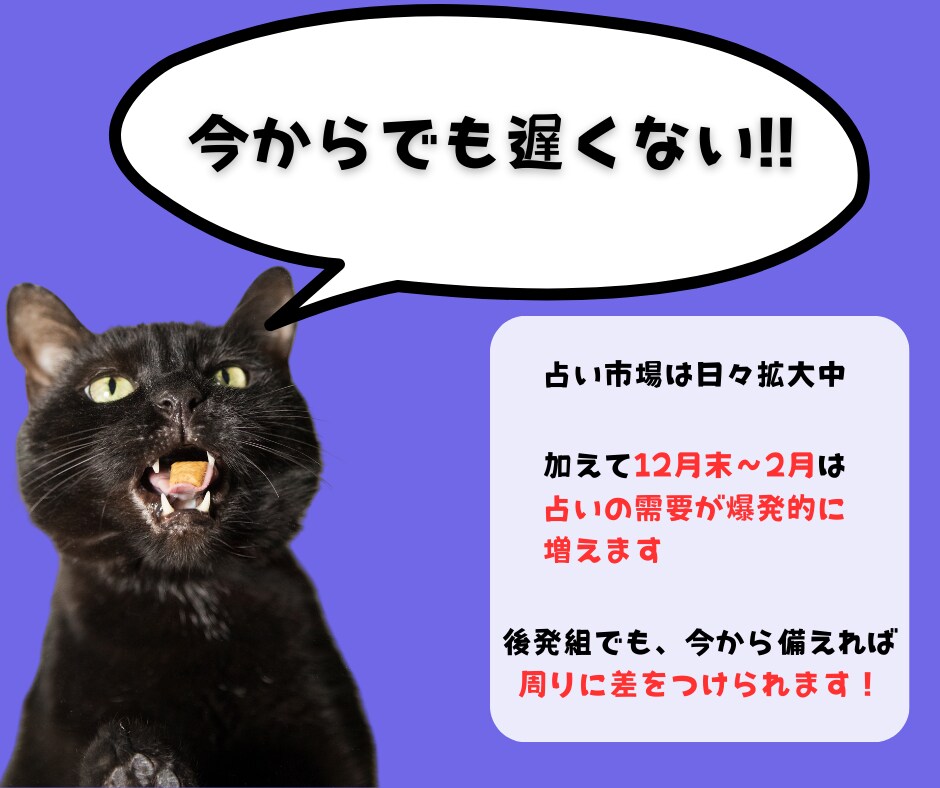 初心者でも始められるココナラ占い攻略教えます 経験、知識、実績ゼロでも「選ばれる占い師」になれる教科書 イメージ7