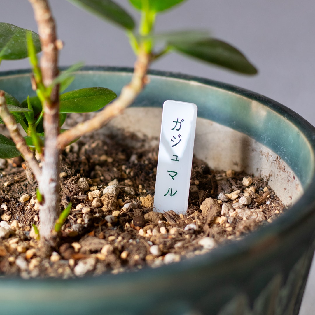 植物用ネームプレート・名札をつくります 色や形がえらべる！オリジナルデザインも対応可 イメージ4