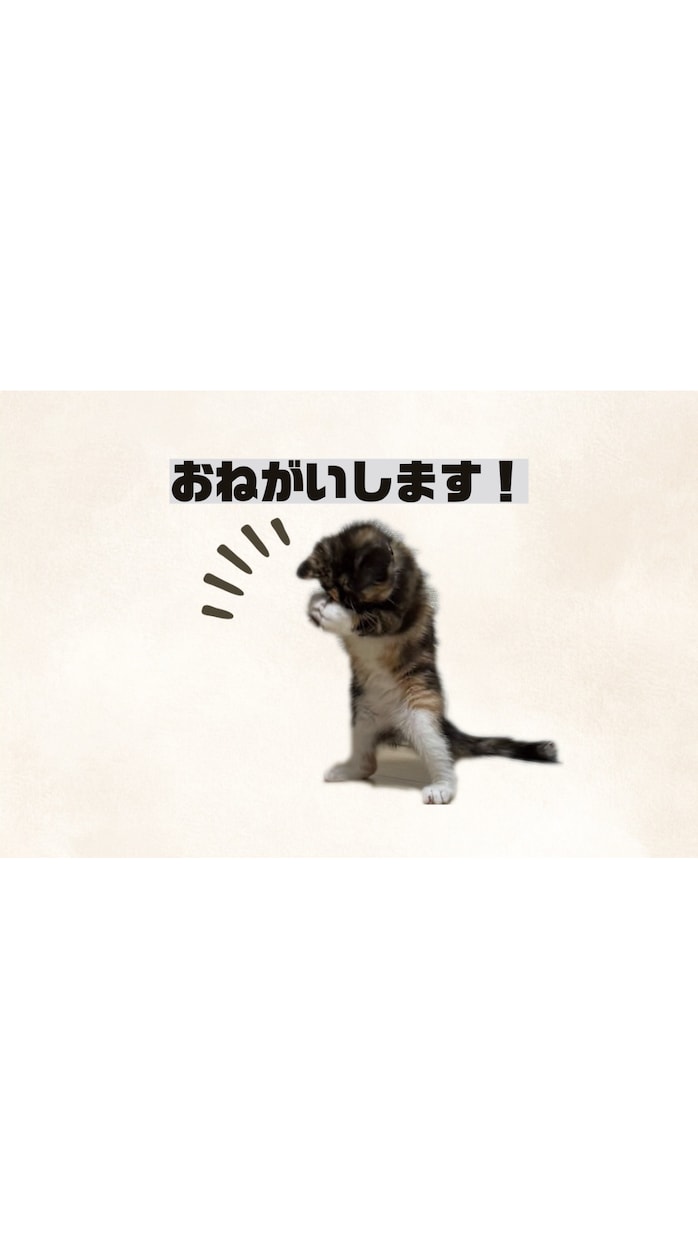一生使える ペットのLINEスタンプを作成します 愛しのペット達のオリジナルLINEスタンプを作成します。 イメージ8