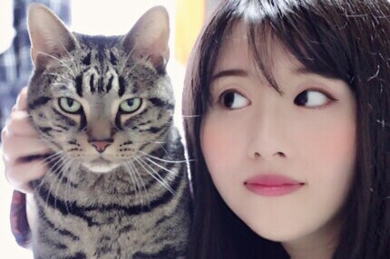 犬と猫のマイクロチップ登録・変更代理申請やります 犬や猫を譲り受ける方・引越しで登録情報を変更したい方 イメージ1