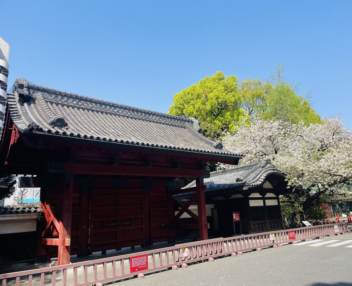 1ヶ月間勉強をサポートします 現役東大院生かつプロ家庭教師が勉強メンターになります イメージ2