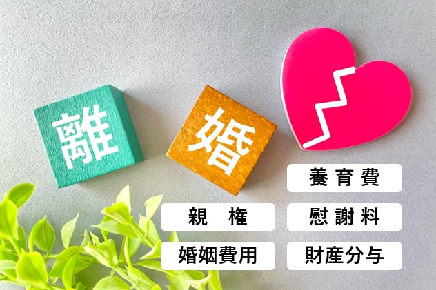 納得のできる離婚協議書の作成をサポートいたします 作成経験豊富な行政書士が公正証書化を前提にお作りします！ イメージ2