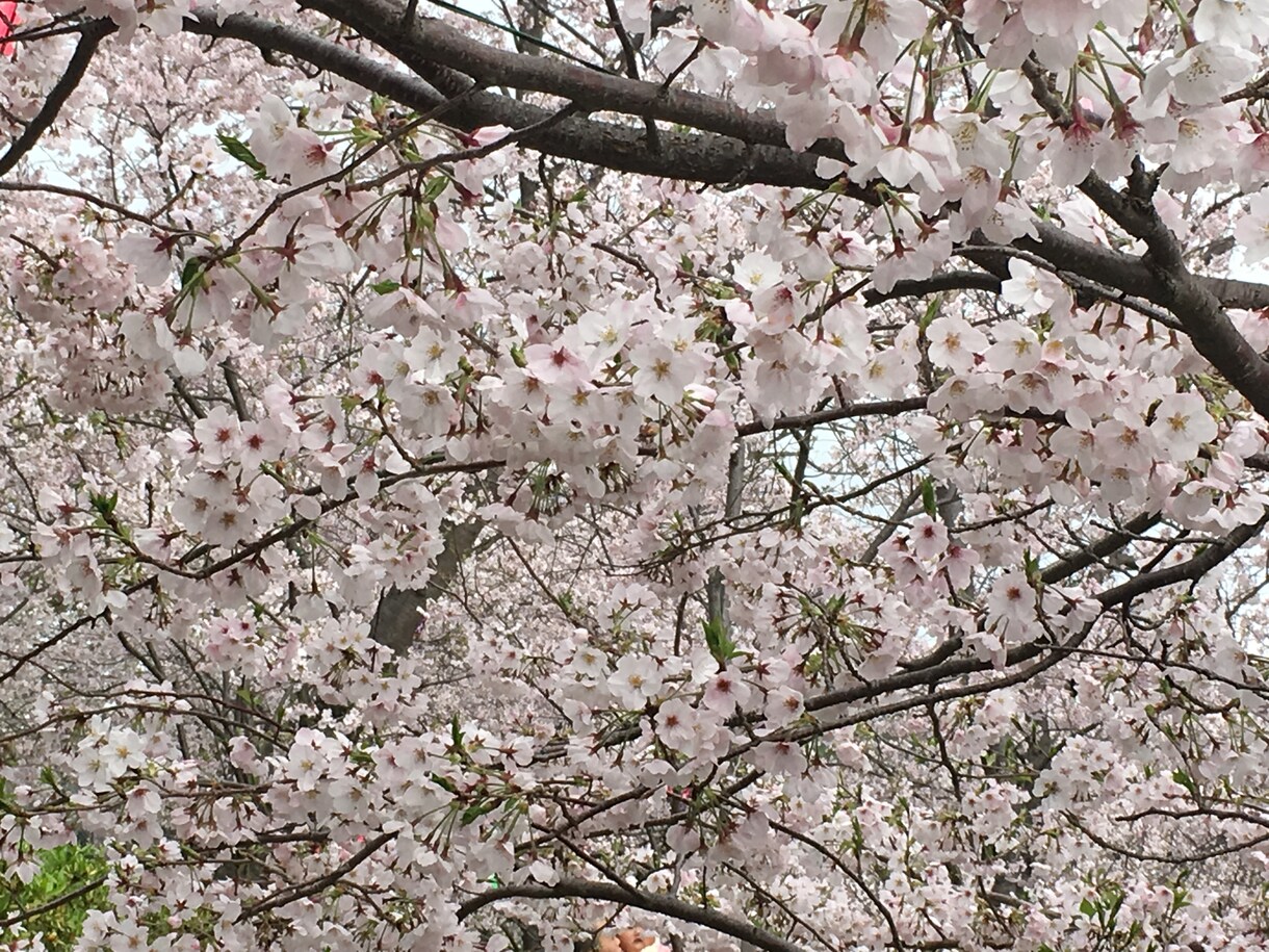 あなた様のお悩みをを占います 辛いお気持ちに寄り添うことができれば幸いです イメージ1