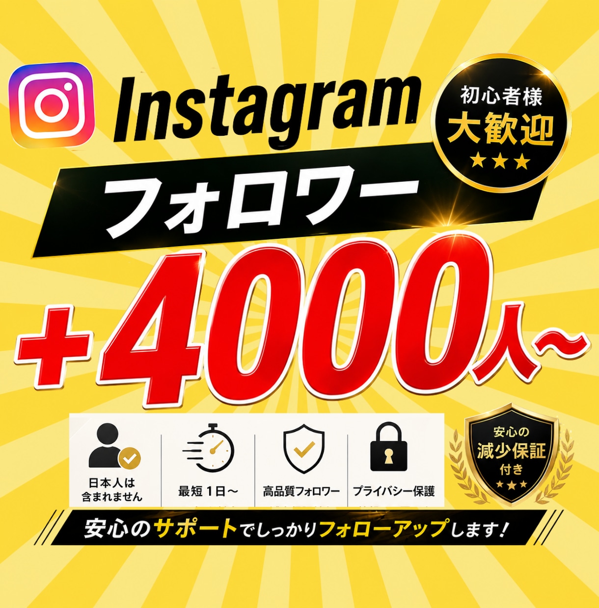 Instagramフォロワー＋4000人増やします 振り分け可能/ゆっくり増加可能/減少保証付き イメージ1
