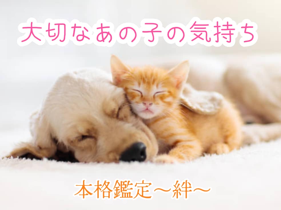 ペット鑑定〜絆〜大切な家族の想いを読み解きます あの子の気持ち・本当に伝えたいことがわかる、本格まごころ占い イメージ1