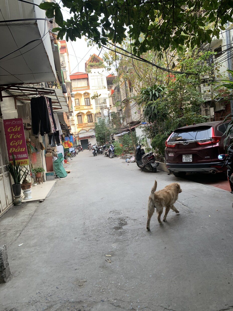 ベトナム旅行お手伝いします ベトナムに住んでいます！現地からお手伝いします◎ イメージ4