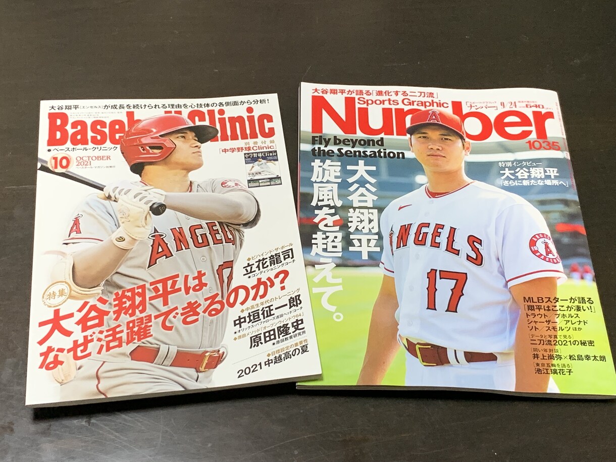 原田メソッドの基本を特別にマンツーマンで教えます 大谷翔平メソッドのNo.1講師が目標達成をお手伝いします イメージ5
