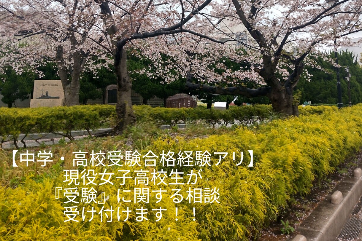 現役高校生が受験のあれこれ教えます 県トップ校に在籍する私が受験や勉強についての相談承りますっ！ イメージ1