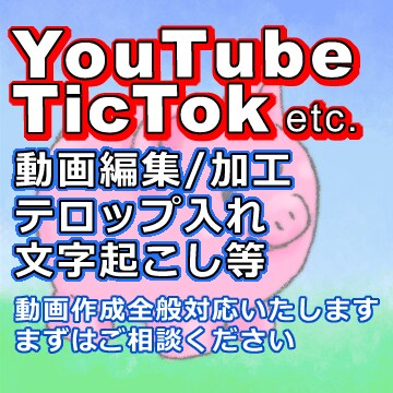 YouTube などの SNS 用の編集を行います テロップや字幕の挿入も可能です。 イメージ1