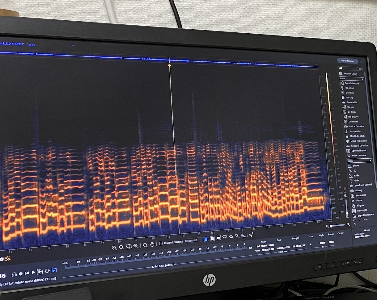 業界標準ソフトでの音源のノイズ除去致します 楽器演奏や歌、ナレーション等の音源に載ったノイズを除去 イメージ1