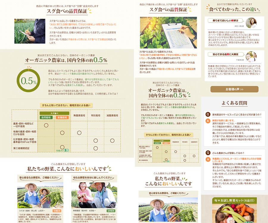ランディングページを高品質・格安でご提供いたします | まずはご相談だけでも！格安でハイクオリティーなLP制作 イメージ2
