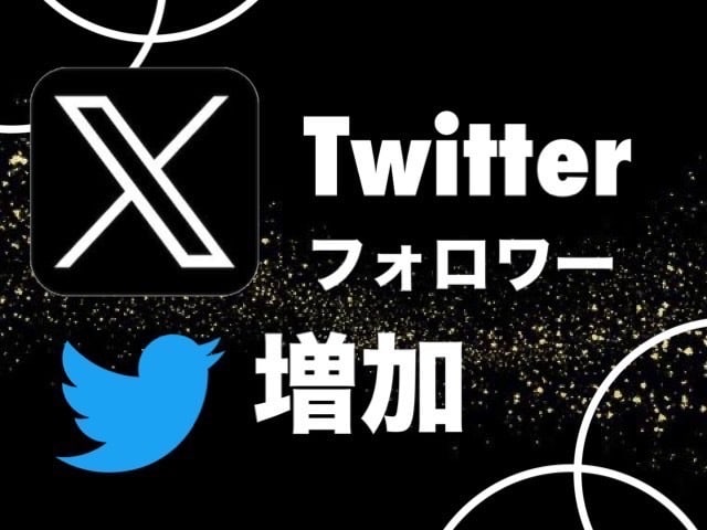 Twitterフォロワー1000人増加します 最安に挑戦。月1億PVのインフルエンサーが提供 イメージ1