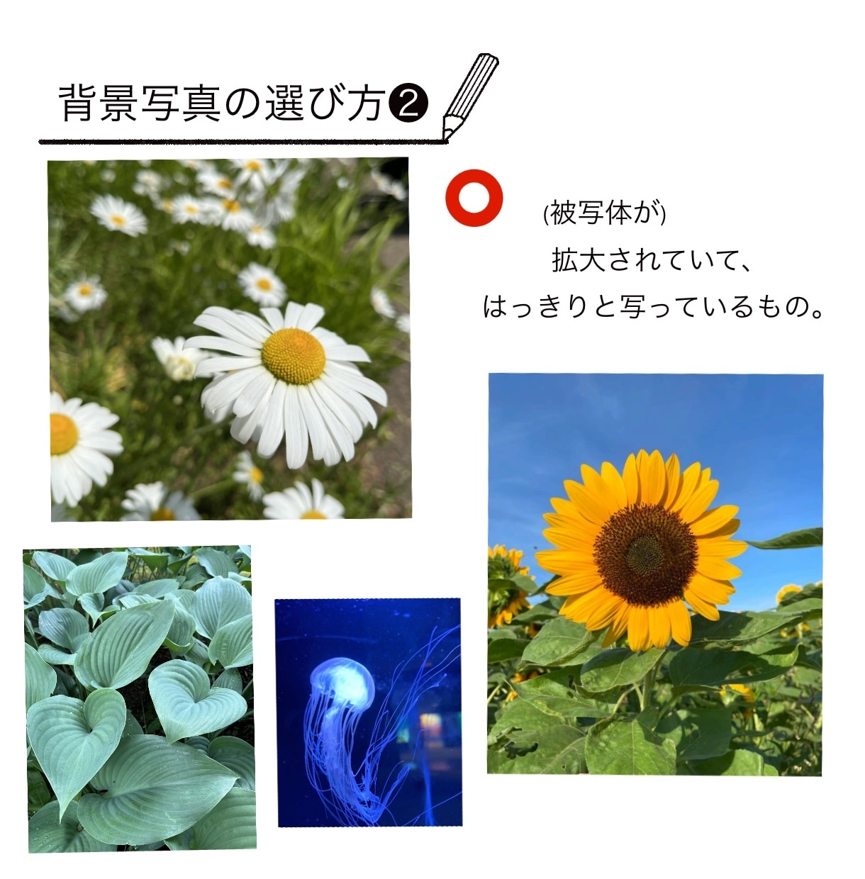 思い出のお写真の中にお好きなイラストお描きします ウェディングアイテム・記念日や誕生日にもぜひ！ イメージ9