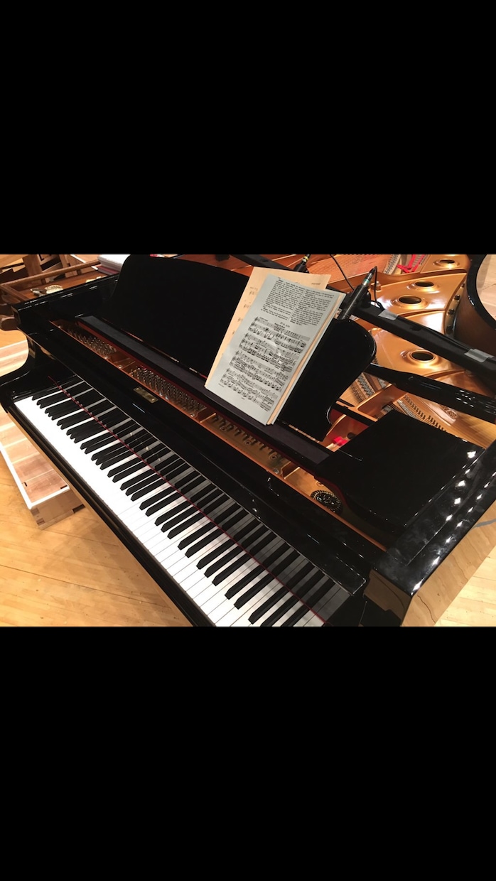 あなたの曲を1万円にて編曲ピアノアレンジします ピアノ歴30年。様々な音楽でのお手伝いをさせて頂きました。 イメージ1