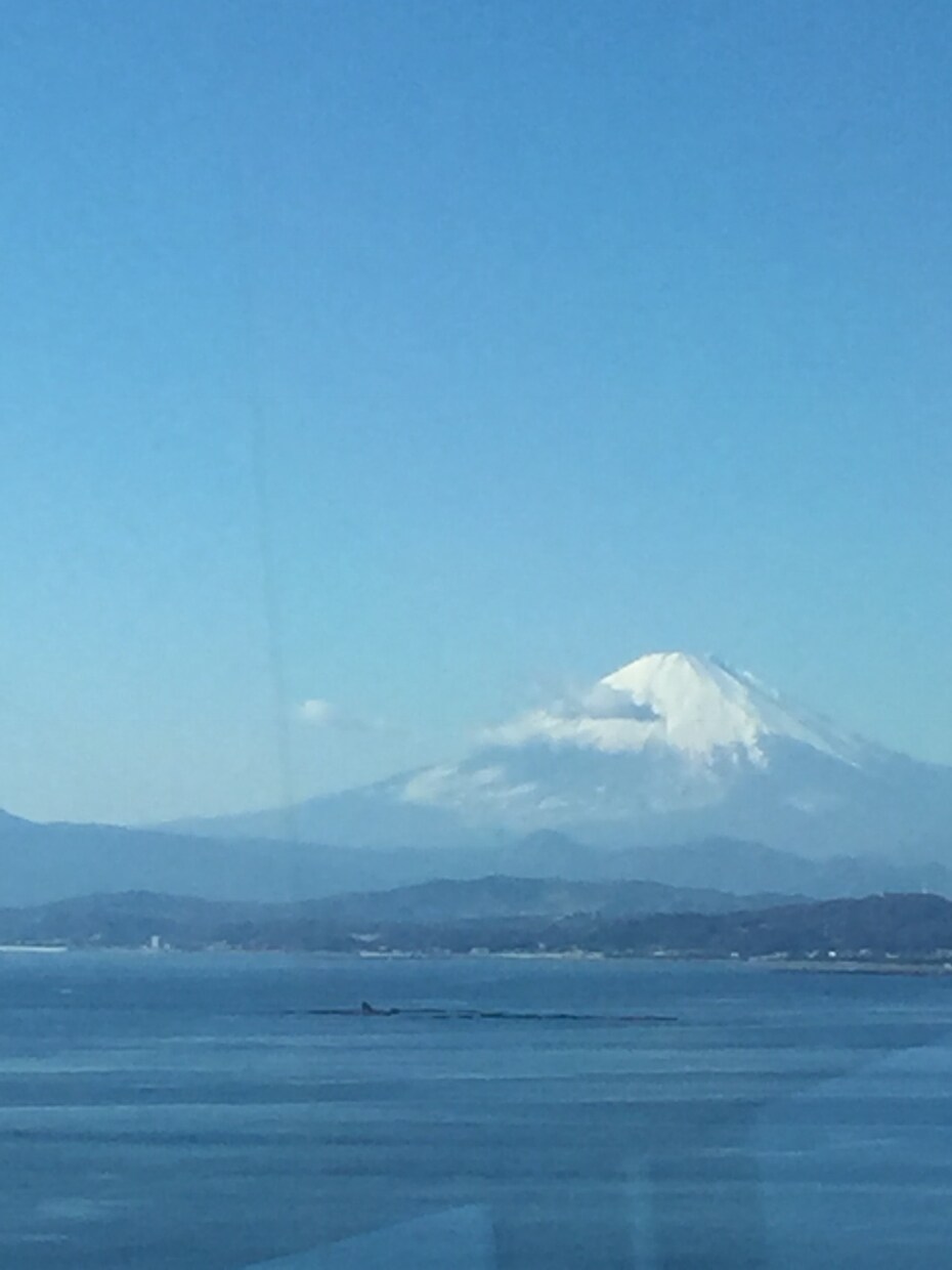 お話し相手です。老若男女、お待ちしております 気持ちスッキリ、気持ちクリアに、あしたの活力に！ イメージ1