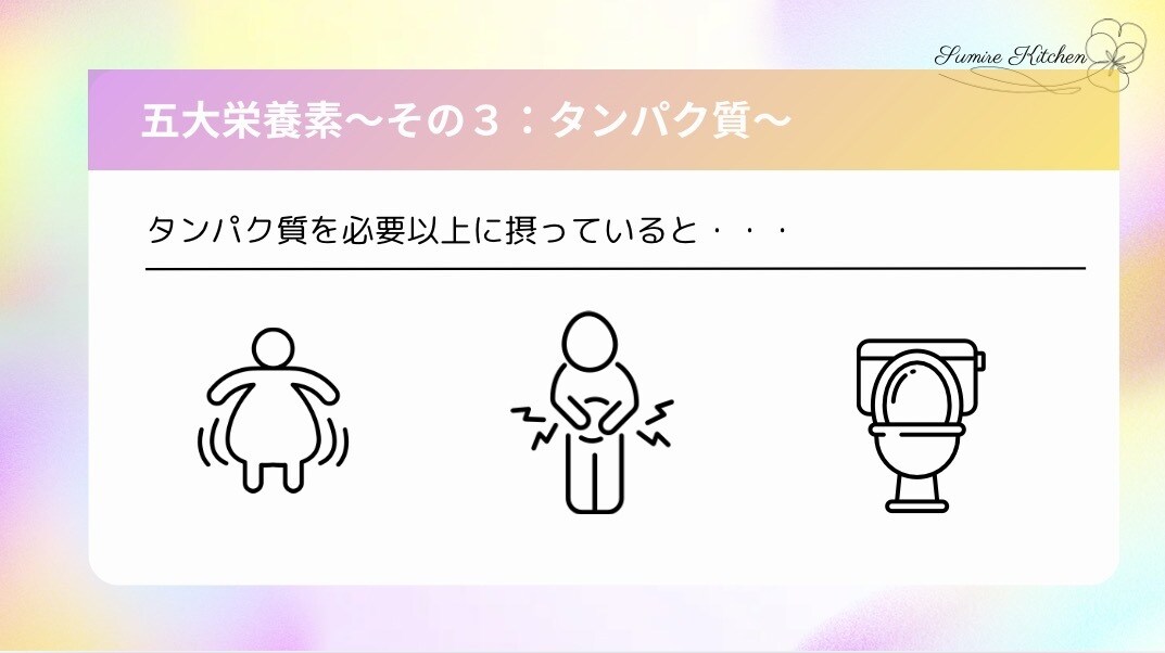 子育てに役立つ栄養学の基礎知識を提供します 元気で賢い子に育てたいなら知っておきたい【タンパク質】の基本 イメージ4
