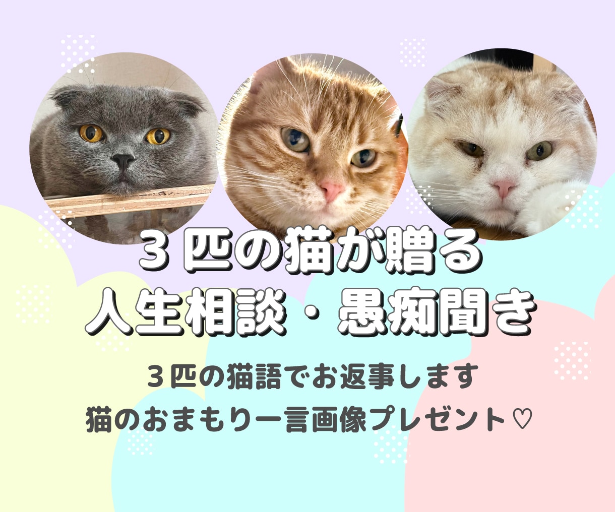 3匹の猫が三者三様の視点でお悩み相談に乗ります 甘々の弟、知的な兄、武士な猫。3匹の視点で心を軽くするニャ イメージ1