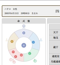 四柱推命　運勢・図解＆グラフの鑑定書付きます 【年間鑑定】ご希望の年の運気のをロジカルに導きます イメージ3